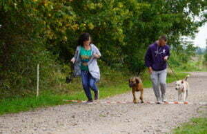 Pierwsza w powiecie impreza dogtrekkingowa