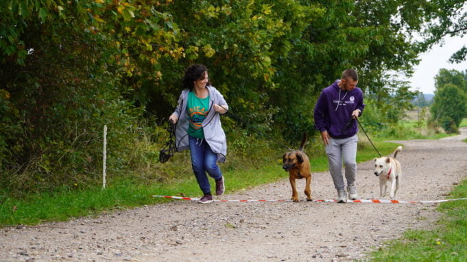 Pierwsza w powiecie impreza dogtrekkingowa
