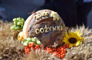 Dożynki powiatowo-gminne w Stepieniu