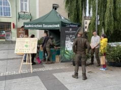 Darmowe drzewka dla mieszkańców