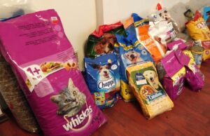 ZST zbiera i wydaje karmę dla właścicieli psów i kotów