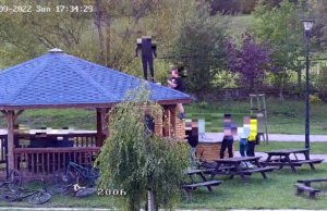 Raport Straży Miejskiej – 77 interwencji