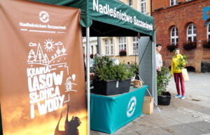 Akcja sadziMY w Szczecinku