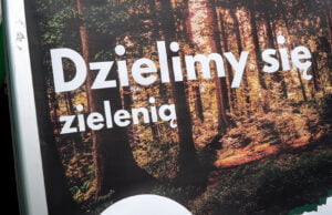 Przed ratuszem rozdawano drzewka