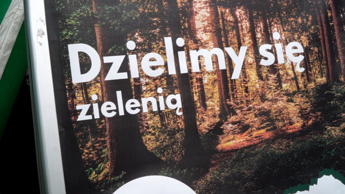 Przed ratuszem rozdawano drzewka