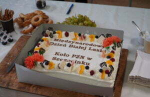 Międzynarodowy Dzień Białej Laski w Światowym Dniu Wzroku