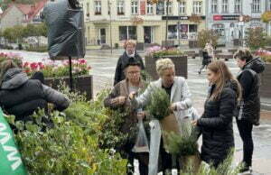 Przed ratuszem rozdawano drzewka