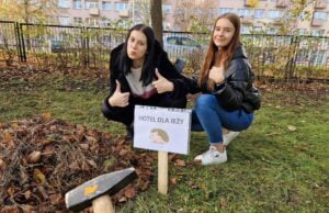 Młodzież z Mechanika pomaga jeżom