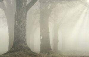 Gęste mgły w nocy i nad ranem