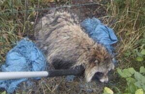 Cztery dni czekał na ratunek