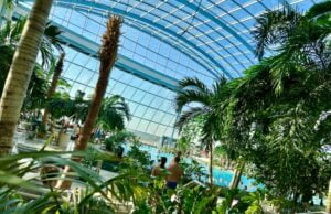 MBP w Bornem zaprasza na wycieczkę do Wodnego Świata