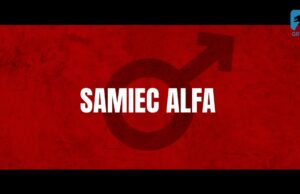 Samiec alfa – propozycja DKF na 09.11.2022