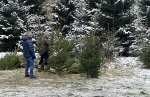 Choinkobranie w Gałowie