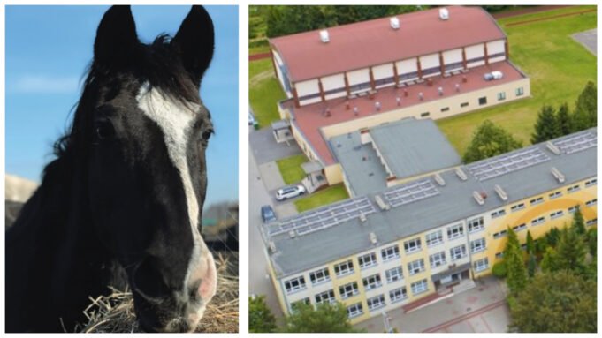 Dzieci z SP5 mają swojego… konia