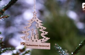 Choinkobranie w Nadleśnictwie Szczecinek