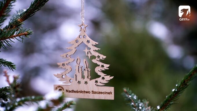 Choinkobranie w Nadleśnictwie Szczecinek