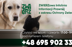 ZWIERZowa Infolinia Bezpłatnej Informacji Prawnej