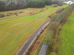 Powiatowe nieruchomości do wydzierżawienia