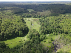 Powiatowe nieruchomości na sprzedaż