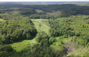 Powiatowe nieruchomości na sprzedaż