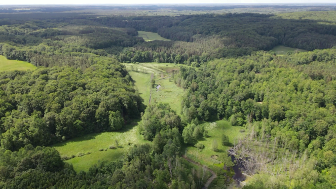 Powiatowe nieruchomości na sprzedaż