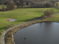 Powiatowe nieruchomości na sprzedaż