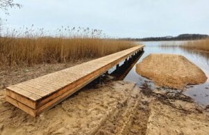 Jeleń z nowym pomostem