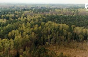 Torfowiska ziemi szczecineckiej