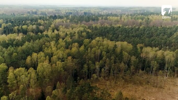 Torfowiska ziemi szczecineckiej