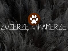 Zwierzę w kamerze #22 – Pasożyty