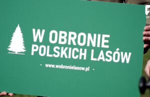 W obronie polskich lasów – konferencja prasowa