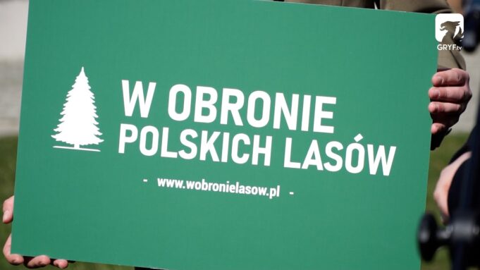 W obronie polskich lasów – konferencja prasowa