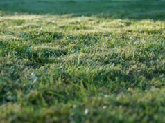 Powiatowe nieruchomości na sprzedaż