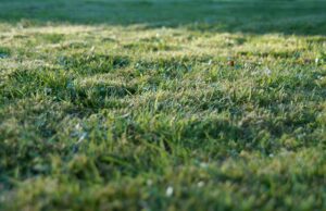 Powiatowe nieruchomości na sprzedaż