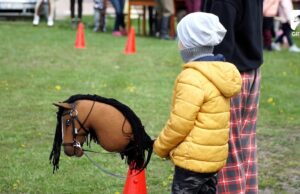 Zawody Hobby Horse w Lipnicy