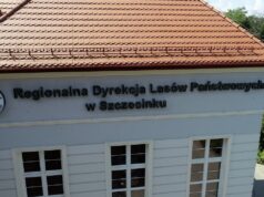 Leśnicy wspierają remonty dróg w regionie