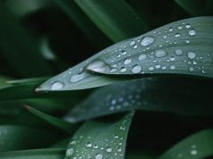 Synoptycy prognozują burze w powiecie