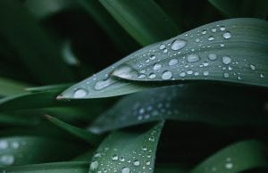 Synoptycy prognozują burze w powiecie