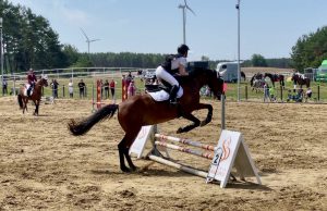 Hippika odradza się w gminie Biały Bór