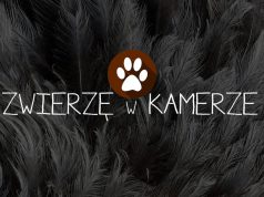 Zwierzę w kamerze #23 – Akcesoria na lato