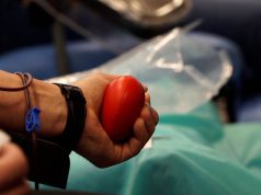 Mobilna akcja poboru krwi w RDLP w Szczecinku