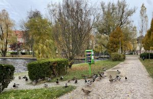 „Ptasi Bufet” w parku w Szczecinku