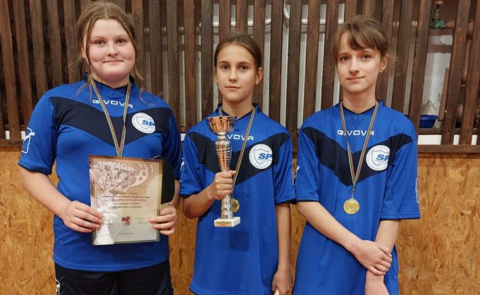 Sukcesy tenisistów stołowych z Gminy