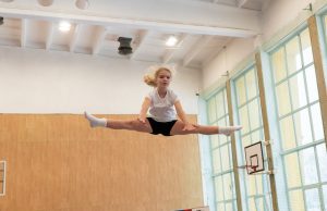 Święto skoków akrobatycznych nad Trzesieckiem