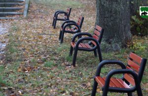 Rewitalizacja parku w Barwicach