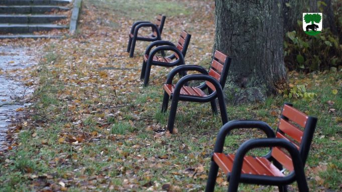 Rewitalizacja parku w Barwicach
