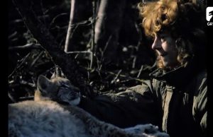 Simona – propozycja DKF na 13.02.2024