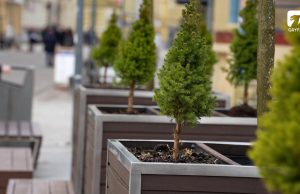 Więcej ekologii w mieście