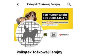 Na ratunek bezdomniakom z Psikątka