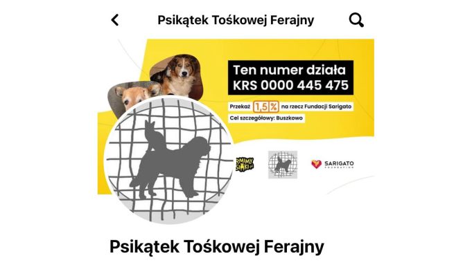 Na ratunek bezdomniakom z Psikątka